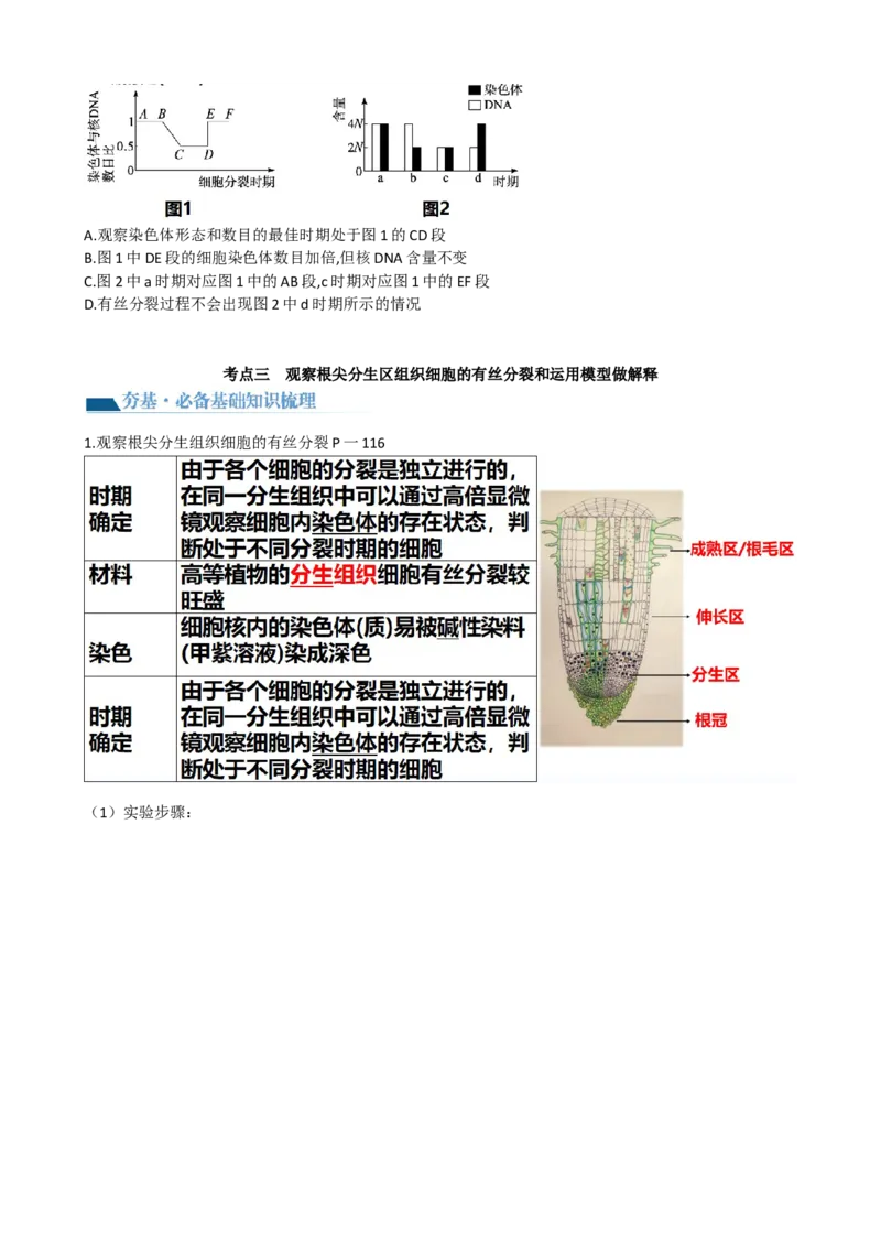 第12讲细胞的增殖（讲义）（学生版）_2024年新高考资料_1.2024一轮复习_2024年高考生物一轮复习讲练测（新教材新高考）