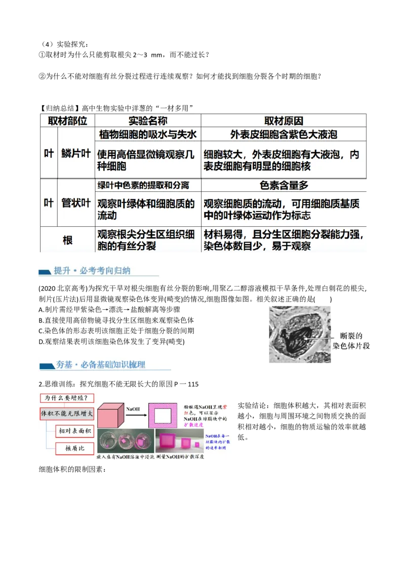 第12讲细胞的增殖（讲义）（学生版）_2024年新高考资料_1.2024一轮复习_2024年高考生物一轮复习讲练测（新教材新高考）