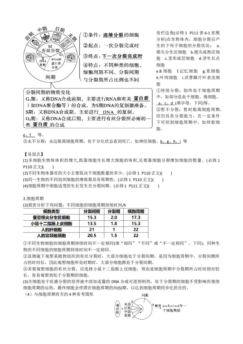 第12讲细胞的增殖（讲义）（学生版）_2024年新高考资料_1.2024一轮复习_2024年高考生物一轮复习讲练测（新教材新高考）