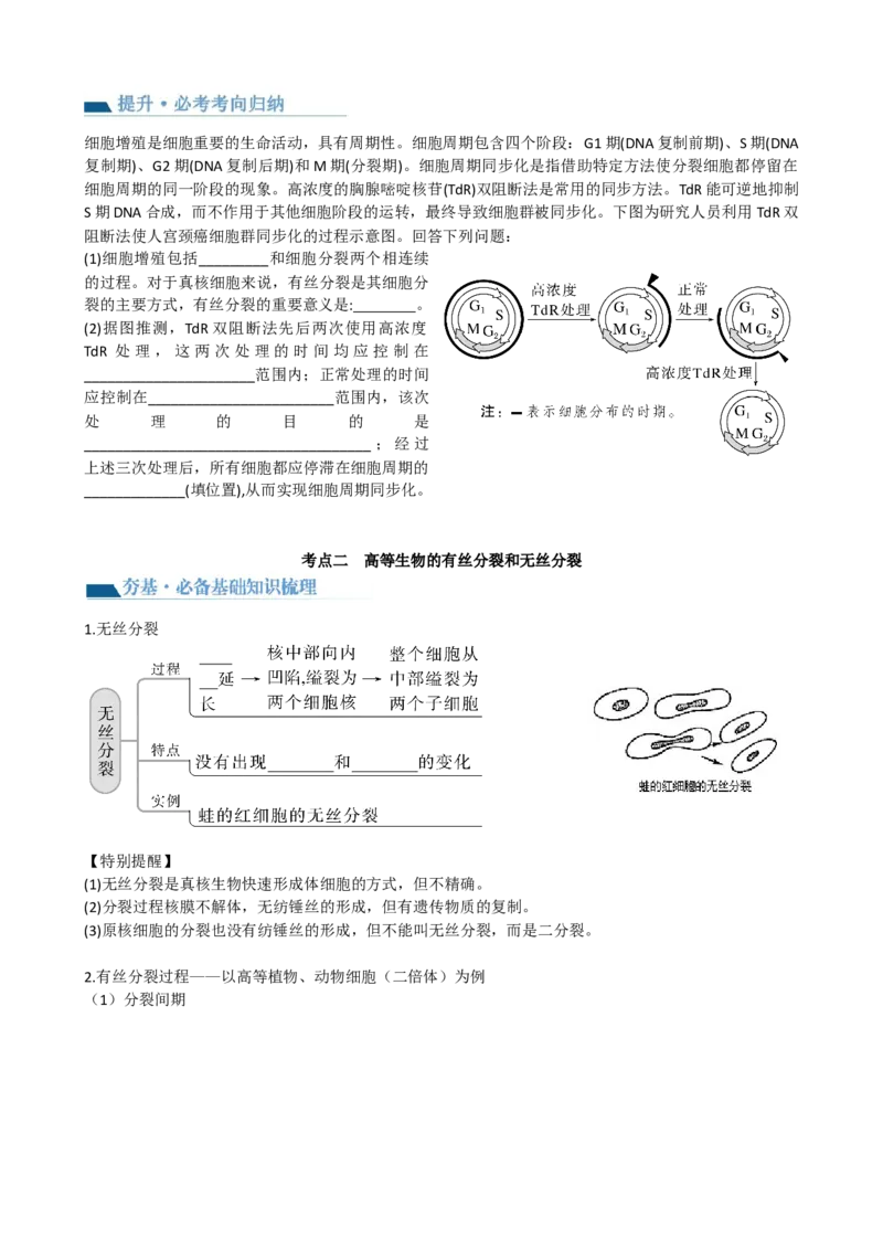 第12讲细胞的增殖（讲义）（学生版）_2024年新高考资料_1.2024一轮复习_2024年高考生物一轮复习讲练测（新教材新高考）