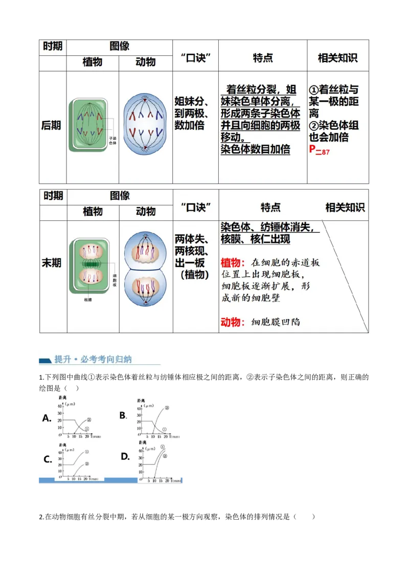 第12讲细胞的增殖（讲义）（学生版）_2024年新高考资料_1.2024一轮复习_2024年高考生物一轮复习讲练测（新教材新高考）