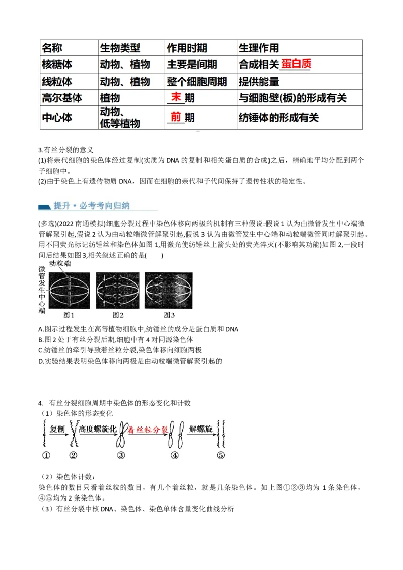 第12讲细胞的增殖（讲义）（学生版）_2024年新高考资料_1.2024一轮复习_2024年高考生物一轮复习讲练测（新教材新高考）
