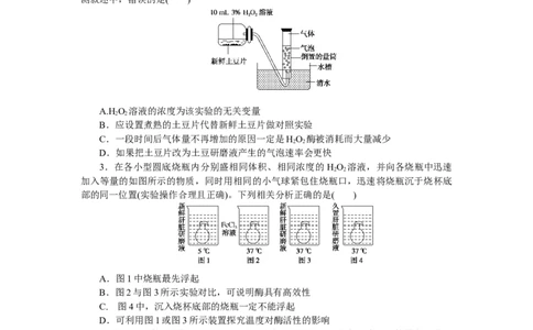 专练16　实验&ldquo;比较过氧化氢在不同条件下的分解&rdquo;_通用版（老高考）复习资料_2023年复习资料_专项复习_2023《微专题&middot;小练习》&middot;生物
