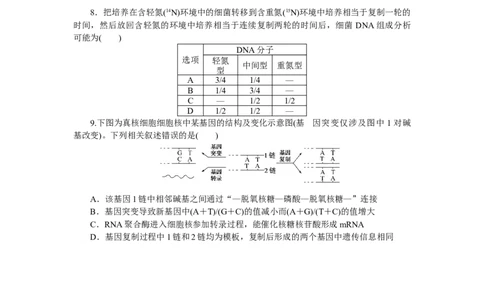 专练42　DNA的复制及计算_通用版（老高考）复习资料_2023年复习资料_专项复习_2023《微专题&middot;小练习》&middot;生物