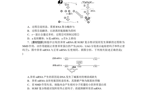 专练52　基因的表达综合练_新高考复习资料_2023年新高考复习资料_专项复习_2023《微专题&middot;小练习》&middot;生物&middot;新教材&middot;XL-7