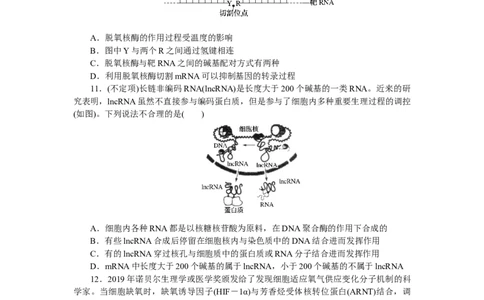 专练52　基因的表达综合练_新高考复习资料_2023年新高考复习资料_专项复习_2023《微专题&middot;小练习》&middot;生物&middot;新教材&middot;XL-7