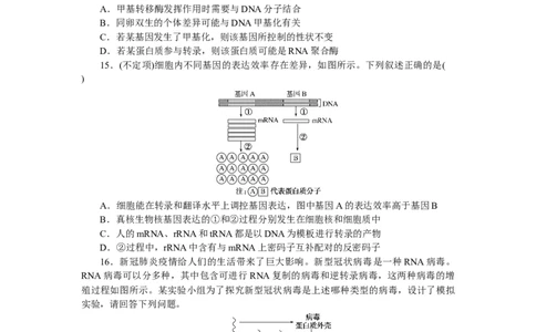 专练52　基因的表达综合练_新高考复习资料_2023年新高考复习资料_专项复习_2023《微专题&middot;小练习》&middot;生物&middot;新教材&middot;XL-7