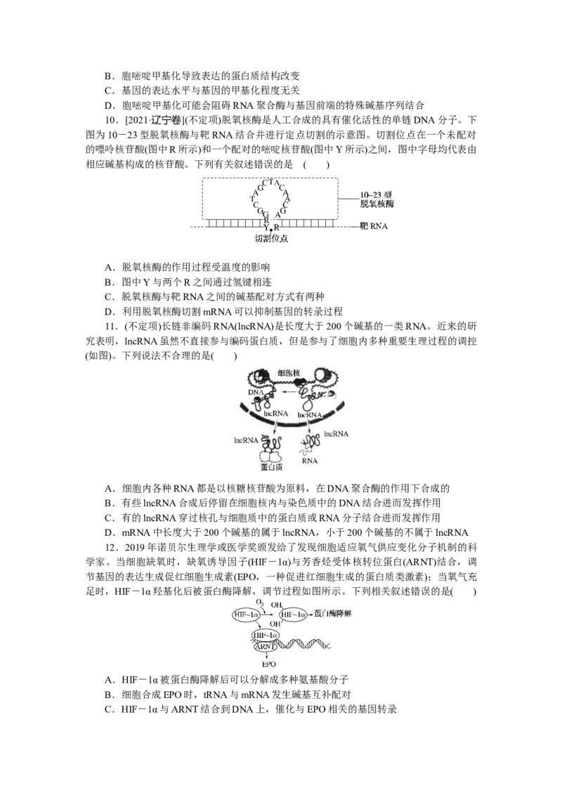 专练52　基因的表达综合练_新高考复习资料_2023年新高考复习资料_专项复习_2023《微专题&middot;小练习》&middot;生物&middot;新教材&middot;XL-7