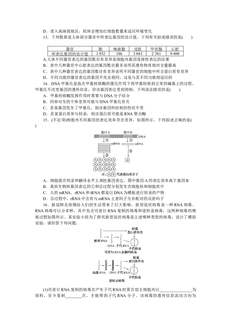 专练52　基因的表达综合练_新高考复习资料_2023年新高考复习资料_专项复习_2023《微专题&middot;小练习》&middot;生物&middot;新教材&middot;XL-7