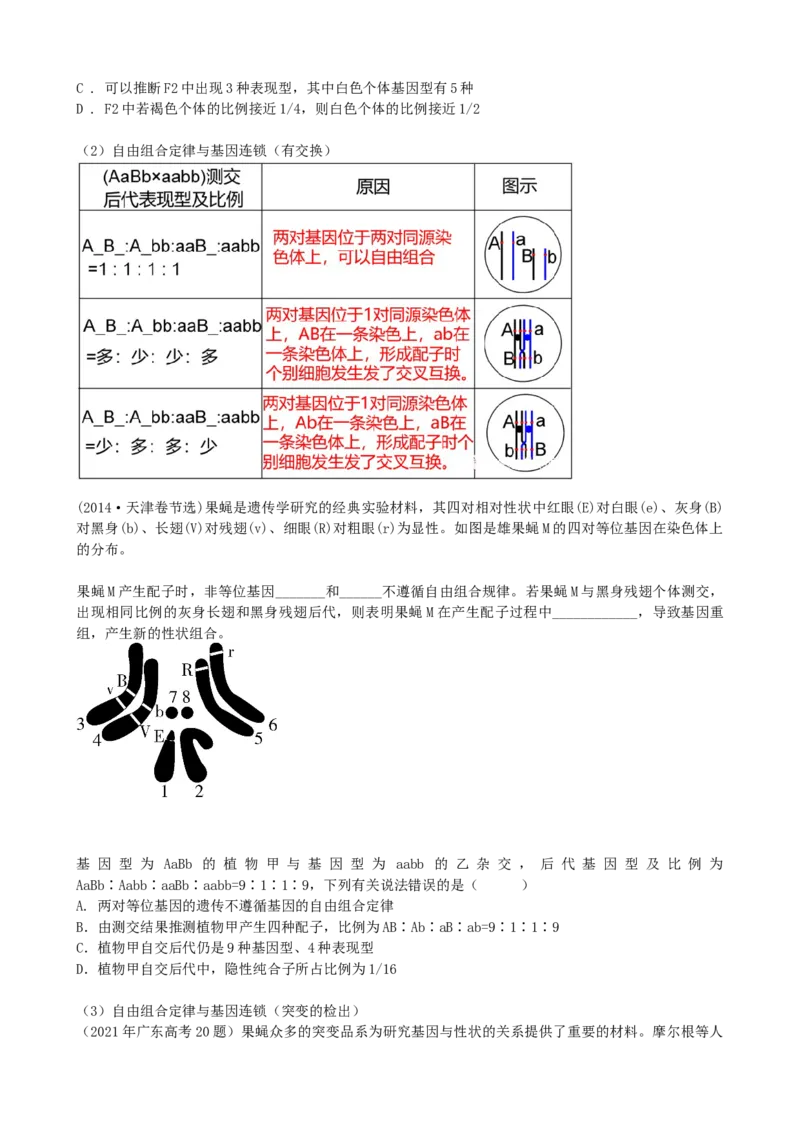 第17.2讲基因的自由组合定律相关题型（讲义）（学生版）_2024年新高考资料_1.2024一轮复习_2024年高考生物一轮复习讲练测（新教材新高考）
