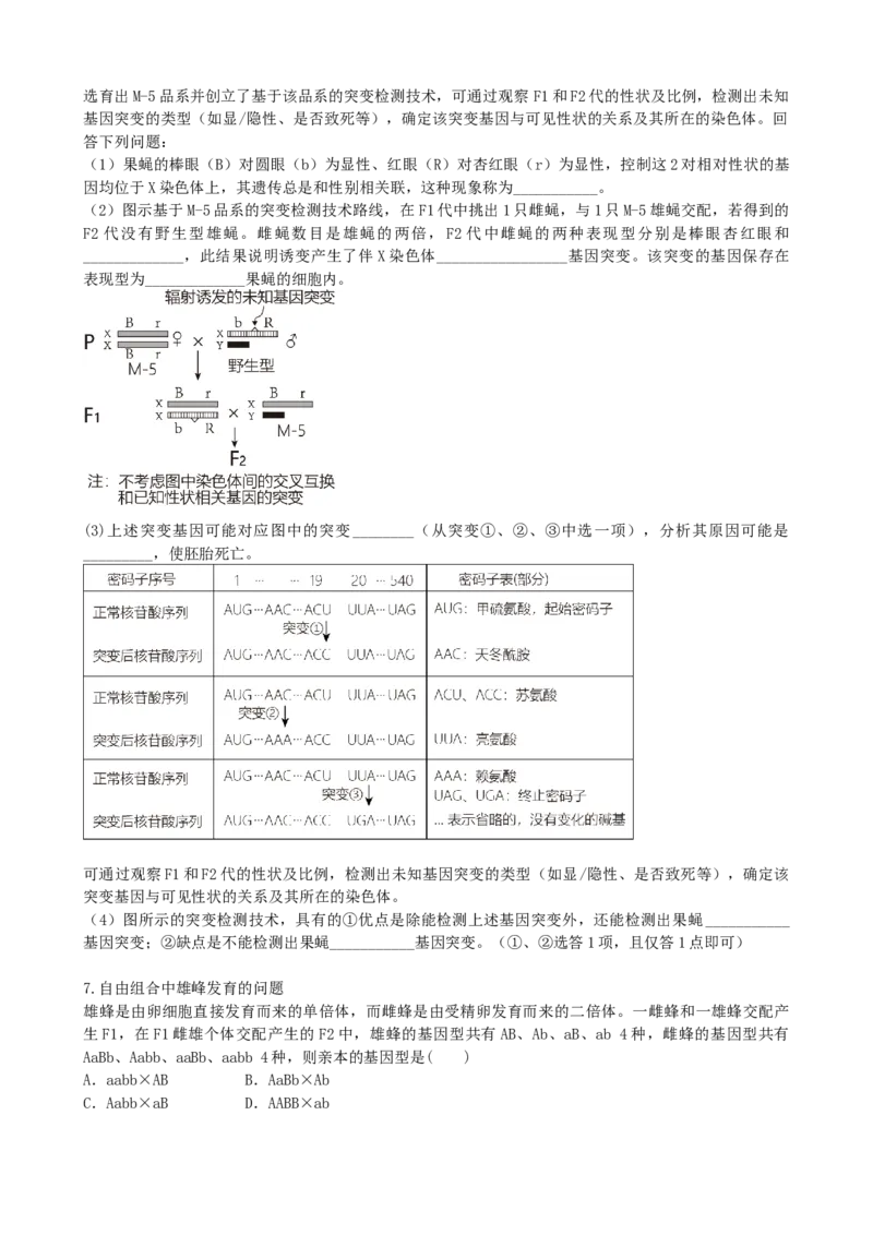 第17.2讲基因的自由组合定律相关题型（讲义）（学生版）_2024年新高考资料_1.2024一轮复习_2024年高考生物一轮复习讲练测（新教材新高考）