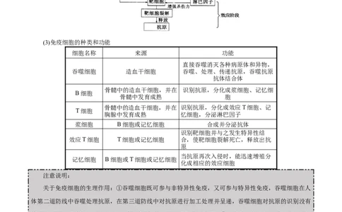 GKSW150_第23讲免疫调节-备战2022年高考生物一轮复习精品讲义（人教版）(解析版)_新高考复习资料_2022年新高考复习资料_备战2022新高考生物一轮复习精品讲义（人教版）