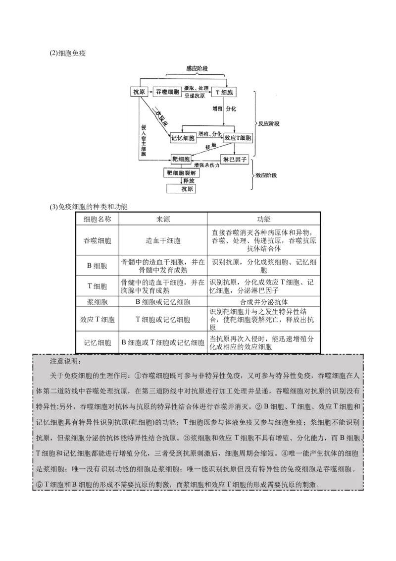 GKSW150_第23讲免疫调节-备战2022年高考生物一轮复习精品讲义（人教版）(解析版)_新高考复习资料_2022年新高考复习资料_备战2022新高考生物一轮复习精品讲义（人教版）