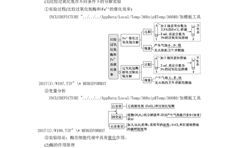 [12501775]高中生物一轮复习学案：第7讲　降低化学反应活化能的酶_新高考复习资料_2023年新高考复习资料_一轮复习_精讲精练2023届新高考生物一轮复习学案