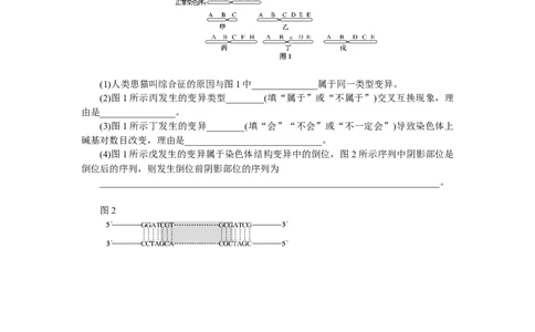 专练48　染色体变异的分析及低温诱导植物染色体数目的变化_通用版（老高考）复习资料_2023年复习资料_专项复习_2023《微专题&middot;小练习》&middot;生物