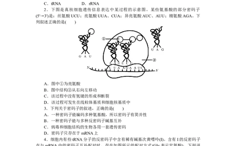 专练50　基因指导蛋白质的合成_新高考复习资料_2023年新高考复习资料_专项复习_2023《微专题&middot;小练习》&middot;生物&middot;新教材&middot;XL-7