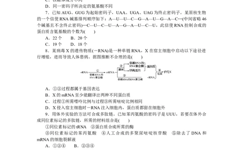 专练50　基因指导蛋白质的合成_新高考复习资料_2023年新高考复习资料_专项复习_2023《微专题&middot;小练习》&middot;生物&middot;新教材&middot;XL-7