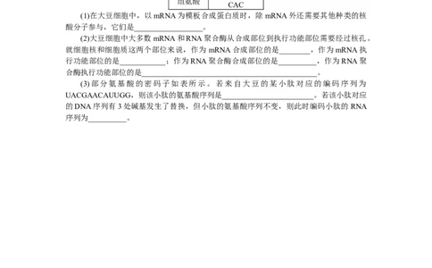 专练50　基因指导蛋白质的合成_新高考复习资料_2023年新高考复习资料_专项复习_2023《微专题&middot;小练习》&middot;生物&middot;新教材&middot;XL-7