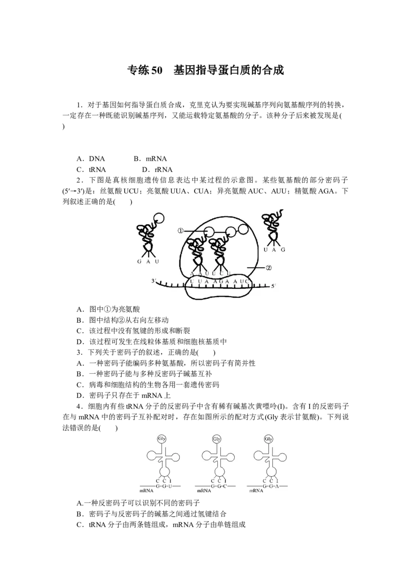 专练50　基因指导蛋白质的合成_新高考复习资料_2023年新高考复习资料_专项复习_2023《微专题&middot;小练习》&middot;生物&middot;新教材&middot;XL-7
