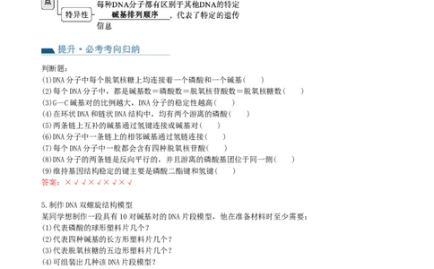 第21讲DNA分子的结构、复制与基因的本质（讲义）（教师版）_2024年新高考资料_1.2024一轮复习_2024年高考生物一轮复习讲练测（新教材新高考）