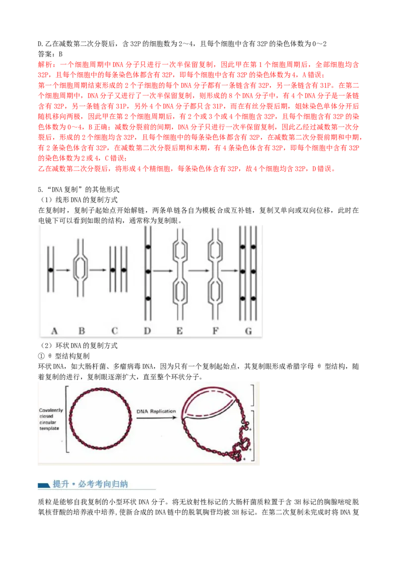 第21讲DNA分子的结构、复制与基因的本质（讲义）（教师版）_2024年新高考资料_1.2024一轮复习_2024年高考生物一轮复习讲练测（新教材新高考）