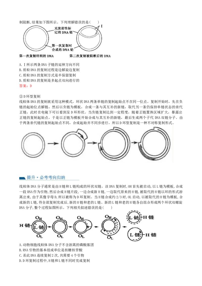 第21讲DNA分子的结构、复制与基因的本质（讲义）（教师版）_2024年新高考资料_1.2024一轮复习_2024年高考生物一轮复习讲练测（新教材新高考）