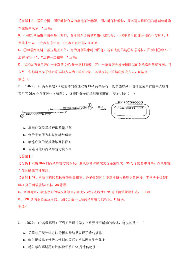 第21讲DNA分子的结构、复制与基因的本质（讲义）（教师版）_2024年新高考资料_1.2024一轮复习_2024年高考生物一轮复习讲练测（新教材新高考）