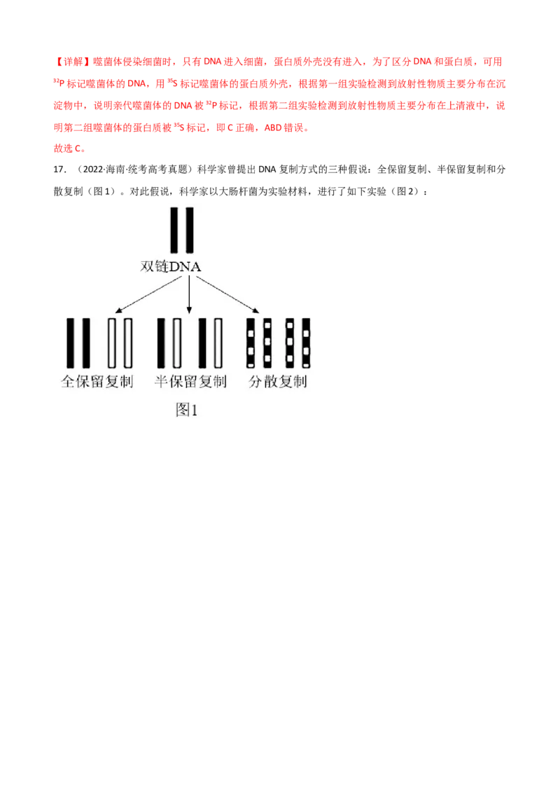 第21讲DNA分子的结构、复制与基因的本质（讲义）（教师版）_2024年新高考资料_1.2024一轮复习_2024年高考生物一轮复习讲练测（新教材新高考）