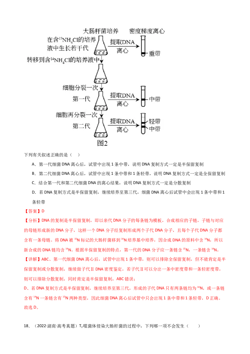 第21讲DNA分子的结构、复制与基因的本质（讲义）（教师版）_2024年新高考资料_1.2024一轮复习_2024年高考生物一轮复习讲练测（新教材新高考）
