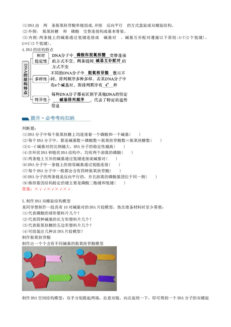 第21讲DNA分子的结构、复制与基因的本质（讲义）（教师版）_2024年新高考资料_1.2024一轮复习_2024年高考生物一轮复习讲练测（新教材新高考）
