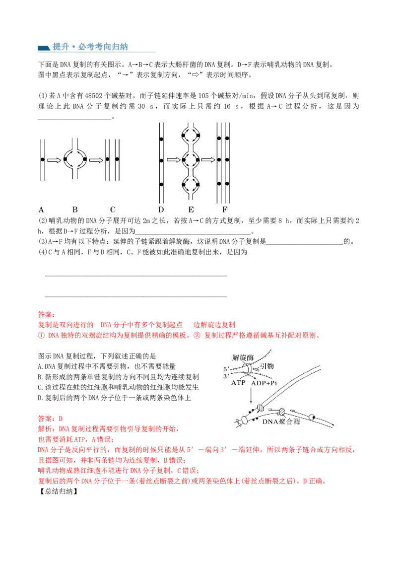 第21讲DNA分子的结构、复制与基因的本质（讲义）（教师版）_2024年新高考资料_1.2024一轮复习_2024年高考生物一轮复习讲练测（新教材新高考）