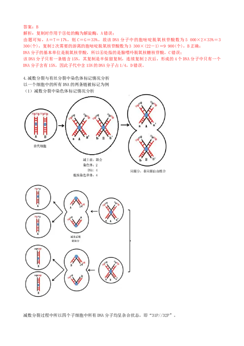 第21讲DNA分子的结构、复制与基因的本质（讲义）（教师版）_2024年新高考资料_1.2024一轮复习_2024年高考生物一轮复习讲练测（新教材新高考）