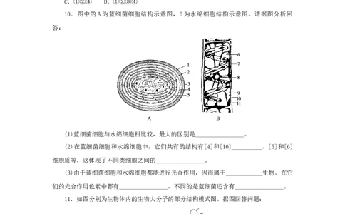 2023版新教材高考生物微专题小练习专练8组成细胞的分子202208091250_通用版（老高考）复习资料_2023年复习资料_一轮复习_2023届高考生物一轮微专题100练