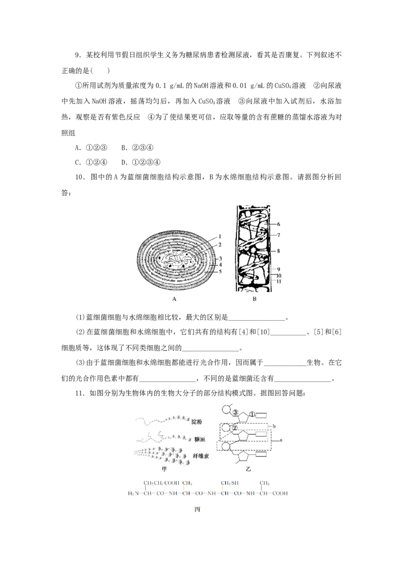 2023版新教材高考生物微专题小练习专练8组成细胞的分子202208091250_通用版（老高考）复习资料_2023年复习资料_一轮复习_2023届高考生物一轮微专题100练