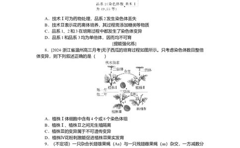 2025届高中生物学一轮复习检测案24　染色体变异（含解析）_2025年新高考资料_一轮复习_2025届高中生物学一轮复习分层复习检测(含解析)