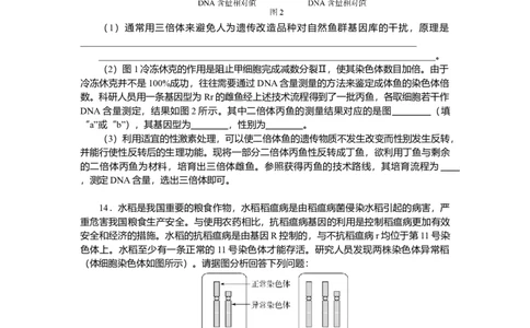 2025届高中生物学一轮复习检测案24　染色体变异（含解析）_2025年新高考资料_一轮复习_2025届高中生物学一轮复习分层复习检测(含解析)