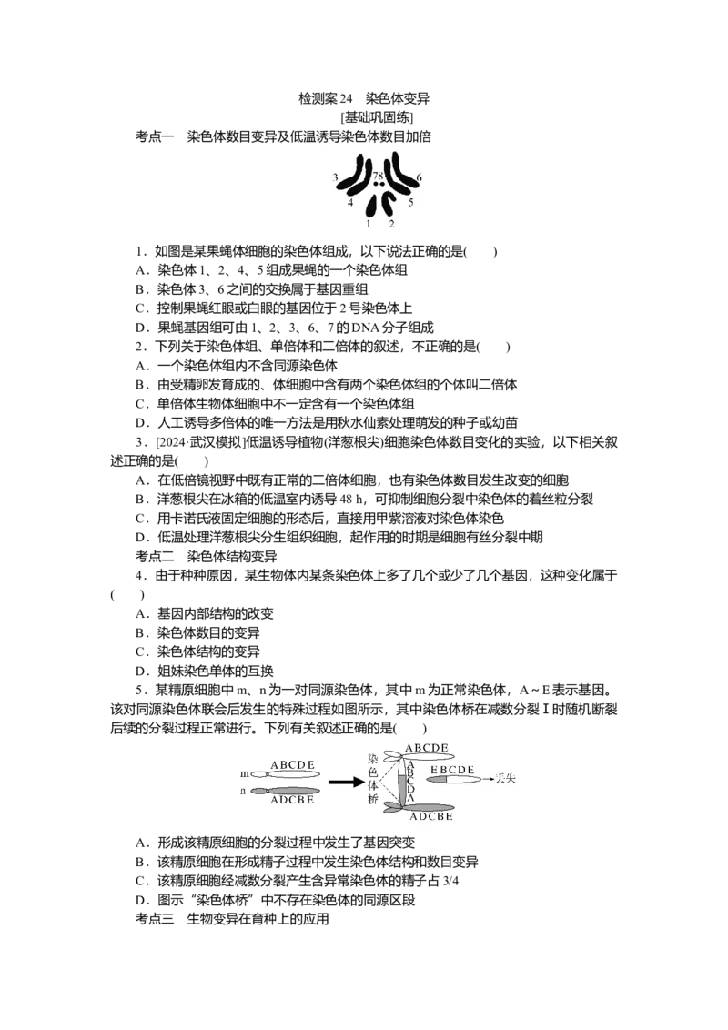 2025届高中生物学一轮复习检测案24　染色体变异（含解析）_2025年新高考资料_一轮复习_2025届高中生物学一轮复习分层复习检测(含解析)
