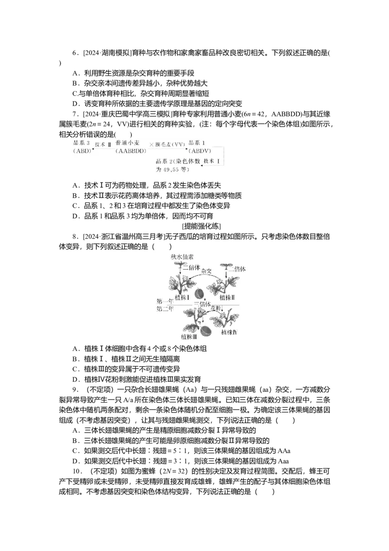 2025届高中生物学一轮复习检测案24　染色体变异（含解析）_2025年新高考资料_一轮复习_2025届高中生物学一轮复习分层复习检测(含解析)
