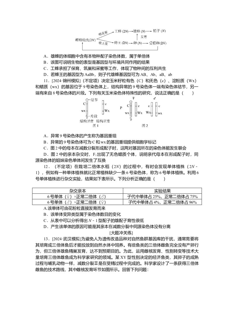 2025届高中生物学一轮复习检测案24　染色体变异（含解析）_2025年新高考资料_一轮复习_2025届高中生物学一轮复习分层复习检测(含解析)