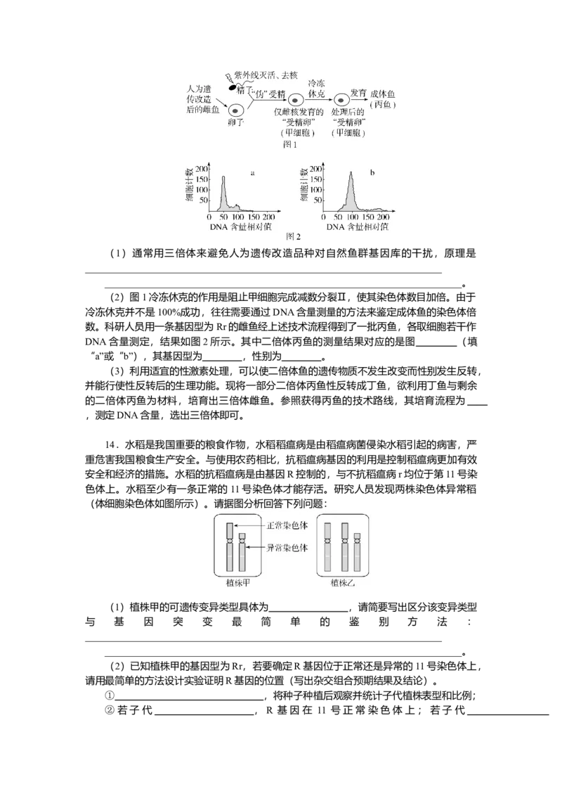 2025届高中生物学一轮复习检测案24　染色体变异（含解析）_2025年新高考资料_一轮复习_2025届高中生物学一轮复习分层复习检测(含解析)