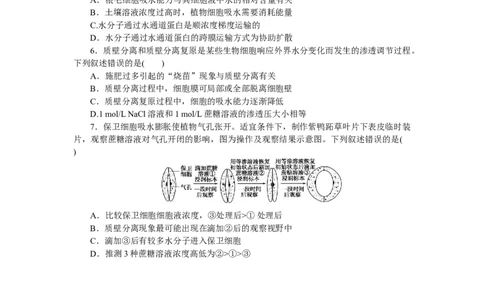 专练12　被动运输_新高考复习资料_2023年新高考复习资料_专项复习_2023《微专题&middot;小练习》&middot;生物&middot;新教材&middot;XL-7
