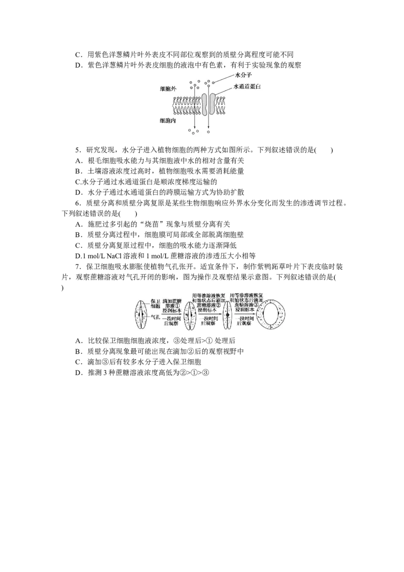 专练12　被动运输_新高考复习资料_2023年新高考复习资料_专项复习_2023《微专题&middot;小练习》&middot;生物&middot;新教材&middot;XL-7