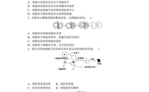专练11　细胞核的结构和功能_新高考复习资料_2023年新高考复习资料_专项复习_2023《微专题&middot;小练习》&middot;生物&middot;新教材&middot;XL-7