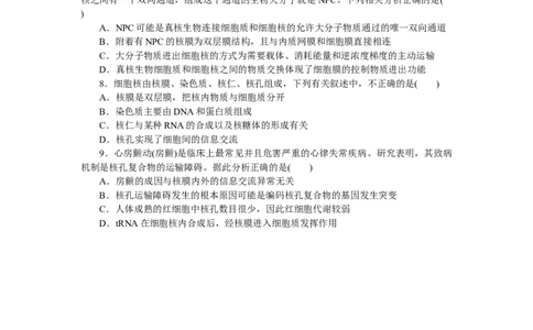 专练11　细胞核的结构和功能_新高考复习资料_2023年新高考复习资料_专项复习_2023《微专题&middot;小练习》&middot;生物&middot;新教材&middot;XL-7