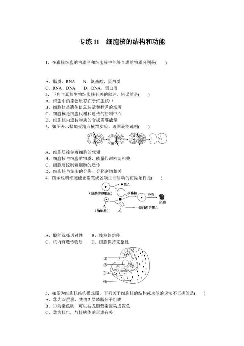 专练11　细胞核的结构和功能_新高考复习资料_2023年新高考复习资料_专项复习_2023《微专题&middot;小练习》&middot;生物&middot;新教材&middot;XL-7