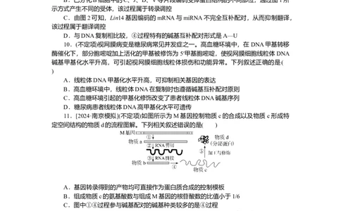2025届高中生物学一轮复习检测案22　基因指导蛋白质的合成及其与性状的关系（含解析）_2025年新高考资料_一轮复习_2025届高中生物学一轮复习分层复习检测(含解析)