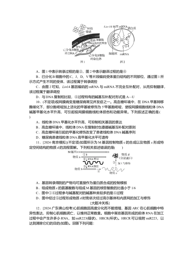2025届高中生物学一轮复习检测案22　基因指导蛋白质的合成及其与性状的关系（含解析）_2025年新高考资料_一轮复习_2025届高中生物学一轮复习分层复习检测(含解析)