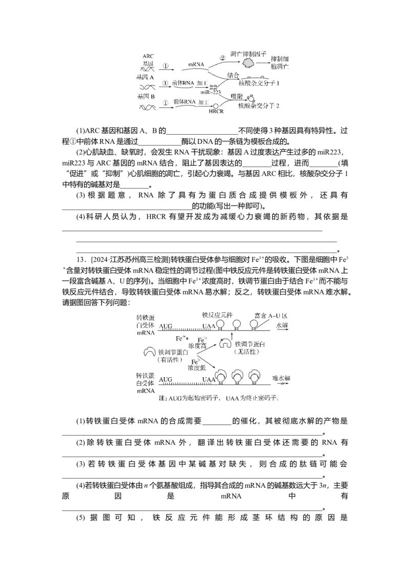 2025届高中生物学一轮复习检测案22　基因指导蛋白质的合成及其与性状的关系（含解析）_2025年新高考资料_一轮复习_2025届高中生物学一轮复习分层复习检测(含解析)