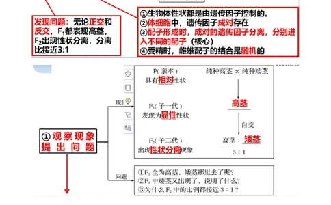 第16讲基因的分离定律（讲义）（教师版）_2024年新高考资料_1.2024一轮复习_2024年高考生物一轮复习讲练测（新教材新高考）