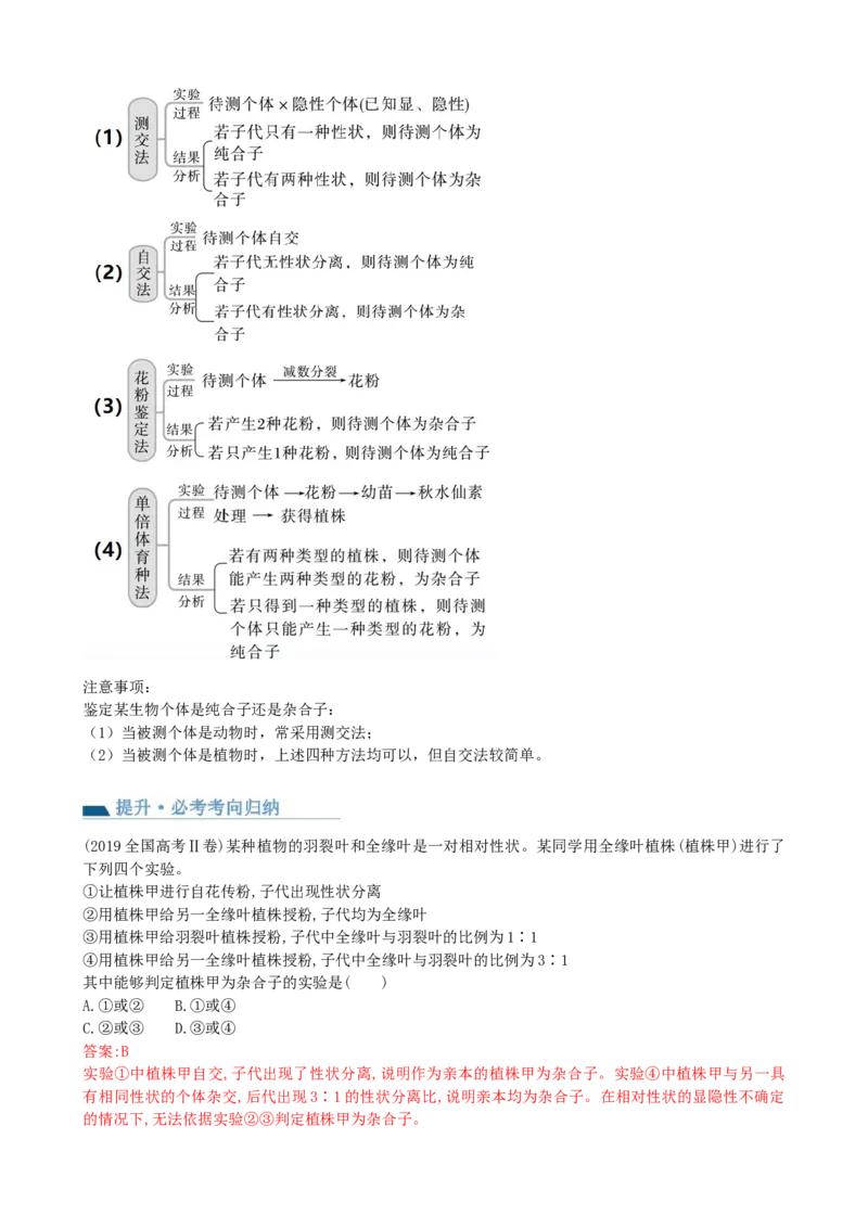 第16讲基因的分离定律（讲义）（教师版）_2024年新高考资料_1.2024一轮复习_2024年高考生物一轮复习讲练测（新教材新高考）